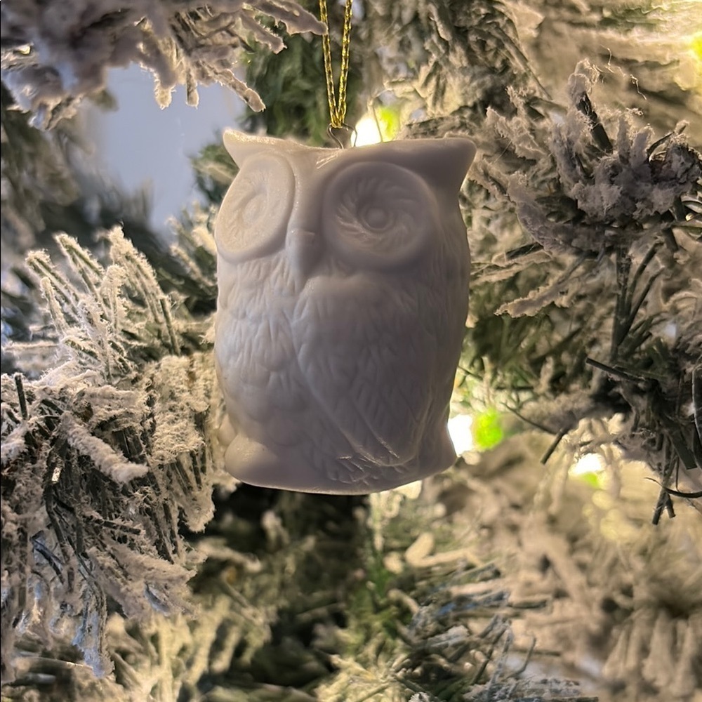 CHRISTMAS ORNAMENT 🎄